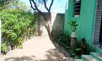 Imagem 2: Casa com árvores e fruteiras