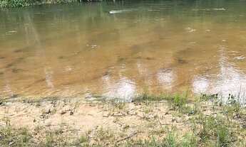 Imagem 3: Vendo Chácara Chácara com venda por R$100.000