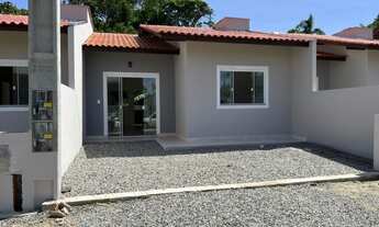 Imagem 2: Geminado novo para venda