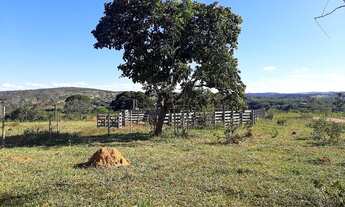 Imagem 4: Empreendimento com rede de água encanada já instalada, terá rede elétrica, e vias compacta