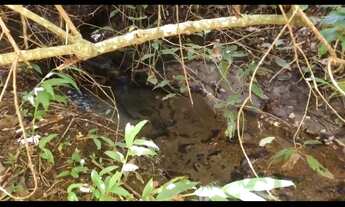 Imagem 6: VENDO CHÁCARAS PARCELADAS