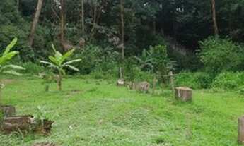 Imagem: Lote/Terreno para venda possui 750 metros