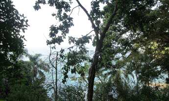 Imagem 5: Terreno, Ponta Grossa, Ubatuba - R$ 12 mi, Cod: 625