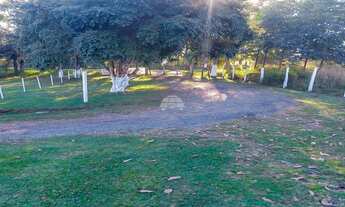 Imagem 2: Chácara Residencial para Venda no Roseira em Colombo, 4282.95m²