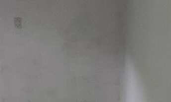 Imagem 3: Alugo casa, bairro São Roque, Paraty