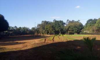 Imagem 6: Chácara no Recanto do Alá, Mirassol sp Aceita Troca até 350 mil