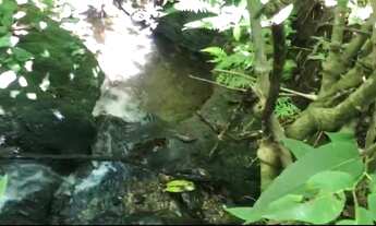 Imagem 5: VENDO CHÁCARAS PARCELADAS