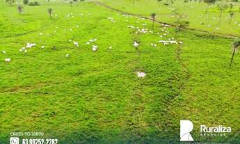 Imagem 3: Fazenda com solos de altíssima fertilidade natural situada na região de Abreulândia-TO