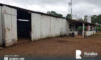 Imagem 6: Fazenda com solos de altíssima fertilidade natural situada na região de Abreulândia-TO
