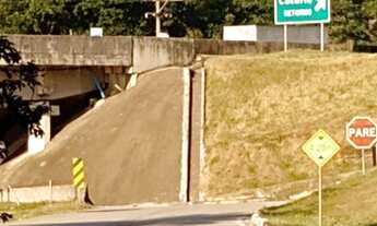 Imagem 2: 10 mil m² metros de verde