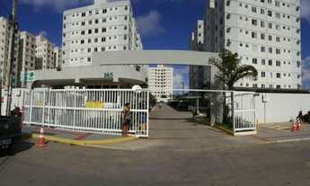 Imagem 2: Encantos do Bosque