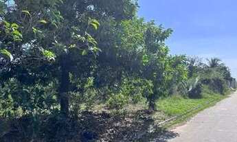 Imagem 3: Excelente Terrenos - Vendo ou Troco