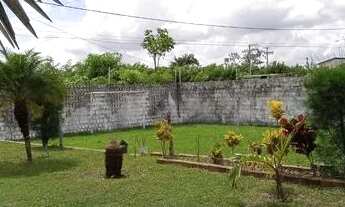 Imagem 2: Vendo Sitio 25/50 Todo Murado Com Cerca Eletrica Valor R$390.000,00. em pouco tempo