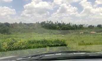 Imagem 3: Vendo Terreno no povoado Água Fria, localizado no município de Salgado