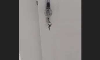 Imagem: (º º) Aluguel - Apartamento - Térreo