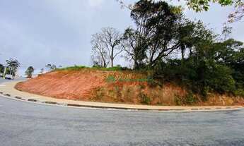 Imagem 1: Área à venda, 43000 m² por R$ 16.340.000,00 - Pereiras - Cotia/SP