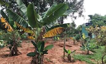 Imagem 5: Vendo chácara Chácara com venda por R$700.000