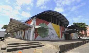 Imagem: Banca de Peixe no Mercado