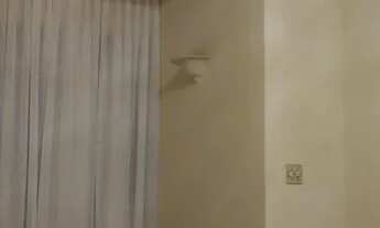 Imagem 4: Térrea para venda possui 220 metros quadrados com 4 quartos em Cambuci - São Paulo - SP