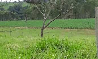 Imagem 2: Terreno 1.700m² perto da cachoeira em Bonfim MG