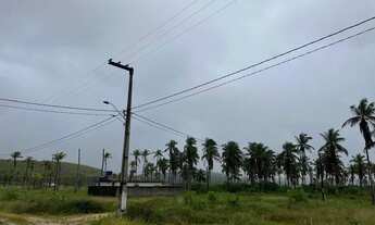 Imagem 6: Vendo 2 lotes em São José da Coroa grande