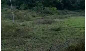 Imagem 2: Vendo Terreno no povoado Água Fria, localizado no município de Salgado