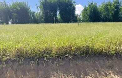 Imagem 5: Lotes planos Terreno / lote com venda por R$69.990