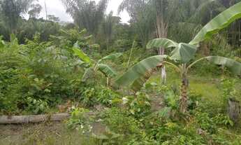 Imagem 3: Vende-se Chácara com venda por R$50.000