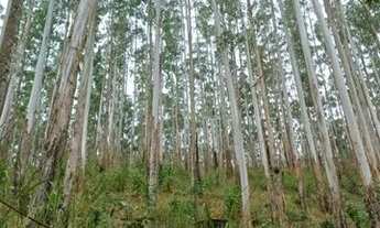 Imagem 2: Bonito de Minas - Fazenda 3000hectares - R$180.000.000,00