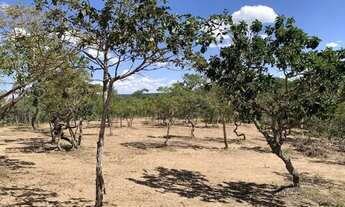 Imagem 2: Chácara 9000m², Energia, Linda Vista, 600m da Rod, 4km Aragoiânia