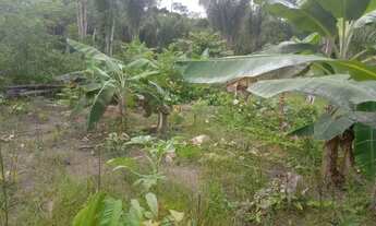 Imagem 4: Vende-se Chácara com venda por R$50.000