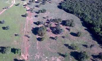 Imagem 2: Fazenda vale do Araguaia