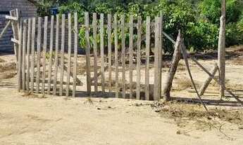 Imagem 5: Comunidade Castela 32 frente, 200 de fundos