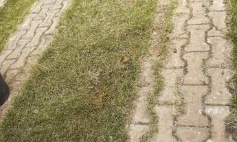 Imagem 2: Aluguel casa festa de trindade