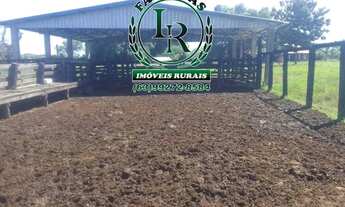 Imagem 2: Fazenda 38,5 Alqueires Alqueires