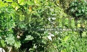 Imagem 3: Terreno à venda 475m² Vila Gomes - Butantã