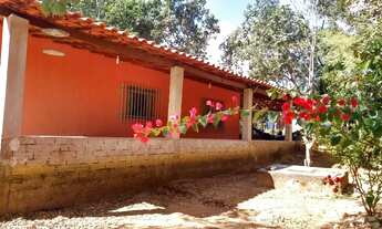 Imagem: Casa Felixlandia