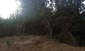 Imagem 2: Lote chácara Terreno / lote com venda por R$50.000