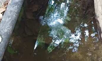 Imagem 5: Sítio no Rio Preto da Eva km 116 Am 010