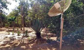 Imagem 6: Casa Felixlandia