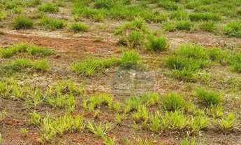 Imagem 3: Terreno à venda à 10min do Centro, 250 m² por R$ 275.000 - Recreio dos Bandeirantes - Uber