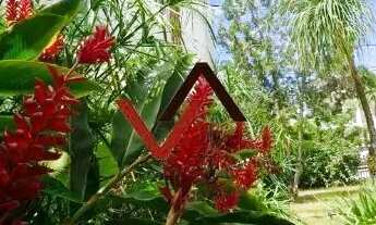 Imagem 5: Imóvel para Aluguel ou Venda - 4 quartos - Priscila Dultra