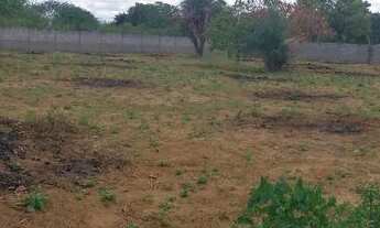 Imagem 4: Vendo terreno 1500 MT quadrado (passa de meia tarefa