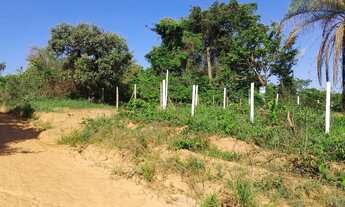 Imagem 7: Lotes no bairro paraíso em mateus leme