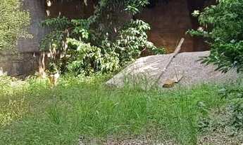 Imagem 5: Oportunidade Imperdível! Terreno à Venda com Área Gourmet Pronta! (CRECI9933/MT