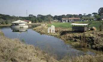 Imagem 4: Terreno à venda 53.000m² por R$5.500.000,00 - São José dos Pinhais/PR