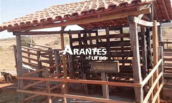 Imagem 5: Fazenda com 532,0463 ha à venda em Varzelândia