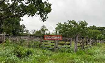 Imagem 3: Fazenda 131,7 alqueires (637,4 hectares) São Luiz do Norte - Go