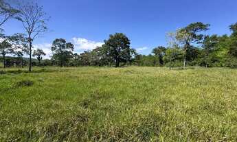 Imagem 7: Ótimo sítio em Itaberai