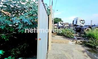 Imagem 2: Terreno pra venda com 330 m²; murado na Avenida Froés da Mota em Feira de Santana